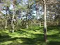 Vabaduse park