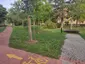 Náměstí Družby