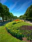 Sea Garden
