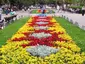 City Garden