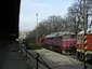 Museum of Transport