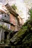 Wolf's Lair