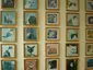 Cat Museum