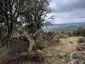 Dolmen de Puigsespedres