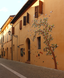 Museo dell'ocarina