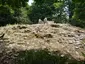 Dolmen La Cañada