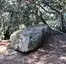 Menhir de la Pedra del Diable