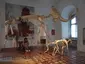 Museum für Ur- und Frühgeschichte