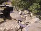 Dolmen del Mas Girarols II