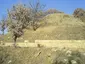 Thracian tomb