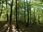 Kastell Wagbach