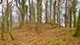 Burgstall Kugelburg