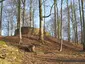Rodenburg (Alter Turm)