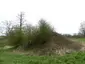 Motte and associated earthworks east of Old Rectory