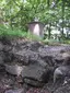 Ruine Manegg