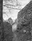 Ruine Scheidegg