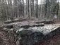 Ruine Schleifenrain