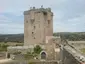 Castillo de San Felices de los Gallegos