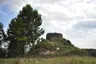 Castell de Callús