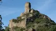 Castell de Mont Roig