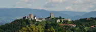 Celjski grad