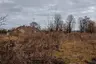 Rządcówka
