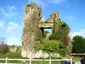 Clonmore Castle (Ruin)