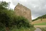 Burg Löwenstein (Pfalz)