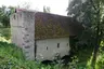 Pesttor