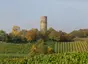 Burg Scharfenstein