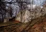 Ruine Hahnenkamm