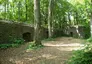 Ruine Maienburg