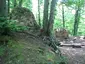 Hirschburg (Leutershausen)