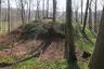 Altenburg (Nazza)