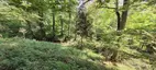 Haideck