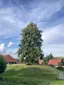 Kleine Herrenburg