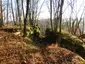 Burgruine Hopfach