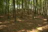 Burgstall Burgstein