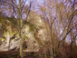 Ruine Dreimühlen