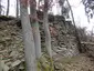 Alte Burg