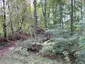 Ruine Bittelschieß
