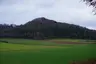 Burg Habsberg