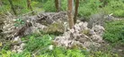 Burg Waldeck