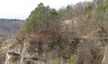 Burg Altgutenstein