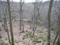 Die Römerburg