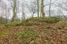 Burg Schildberg