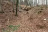 Burg Liebeneck