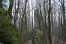 Reichenstein