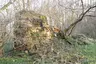 Ruine Conerow