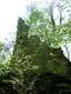 Ruine Kraftstein